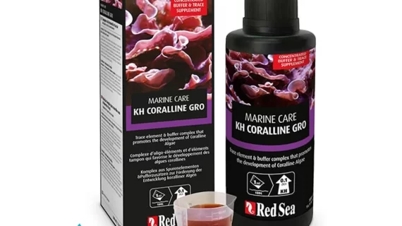 Red Sea KH-Coralline Grow