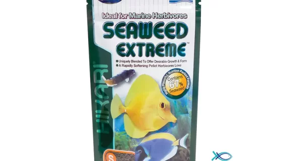 Hikari seaweed exteme