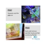 Coral Feeder Pack Of Two - Image 7