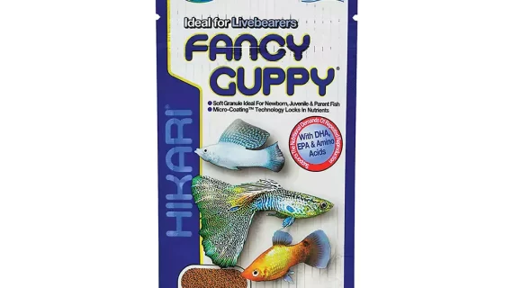 Hikari Fancy Guppy 22g