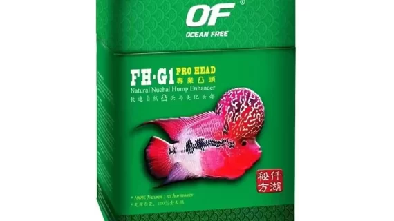 Ocean Free FH-G1 Pro Head