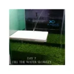 Carpet Planted Aquarium Seeds - Image 7