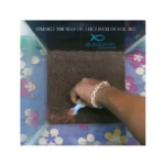 Carpet Planted Aquarium Seeds - Image 2