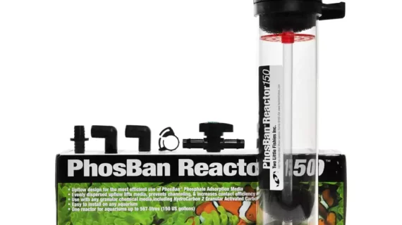 Two Little Fishies - PhosBan Reactor 150