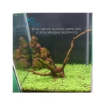 Carpet Planted Aquarium Seeds - Image 8