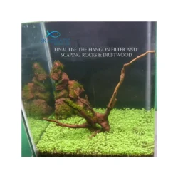 Carpet Planted Aquarium Seeds - Image 8