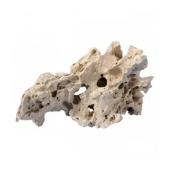 Sansibar Rock - Image 4