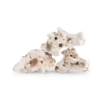 Sansibar Rock - Image 2