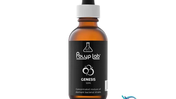 Polyp lab GENESIS