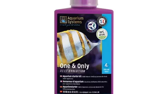 ONE & ONLY Live Nitrifying Bacteria