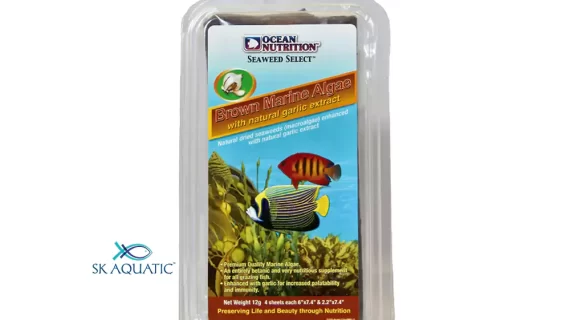 Marine Brown Algay Sheet Food