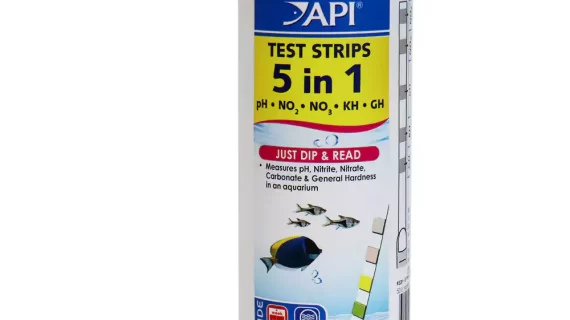 API 5 In 1 Test Strips