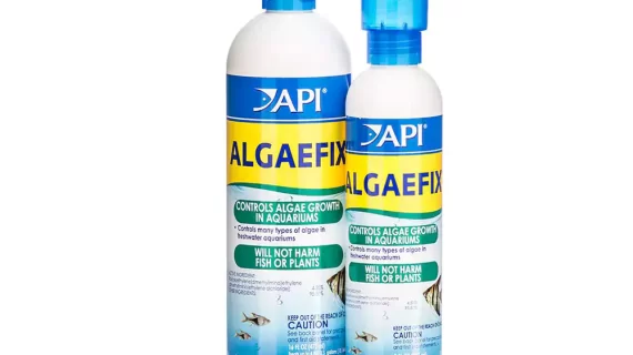 API AlgaeFix