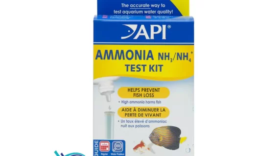 API Ammonia