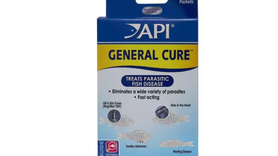 API Powder General Cure 10 pack