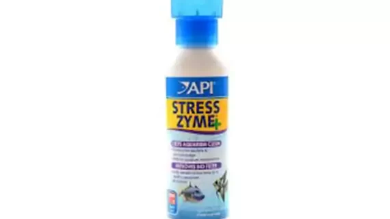 API Stress Zyme 118ml