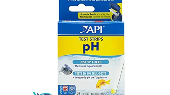 API pH Test Strips