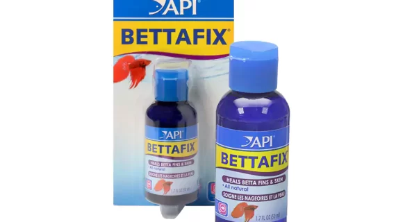 Api Bettafix