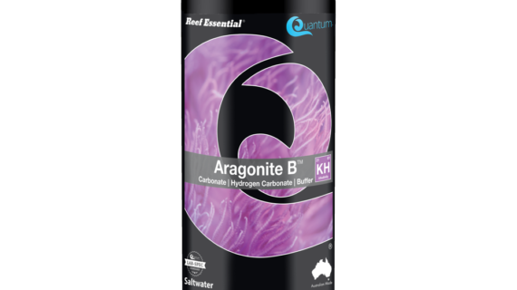 Quantum Aragonite B - KH