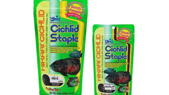 Hikari Cichlid Staple