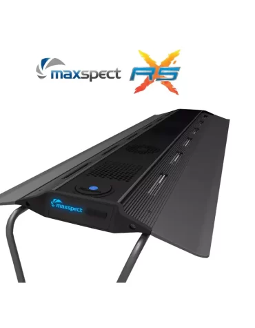 Maxspect RSX Razor R5F 300