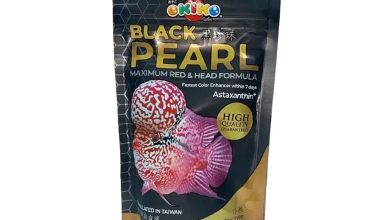 okiko black pearl flowerhorn fish food