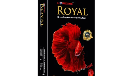 Royal red betta fish food
