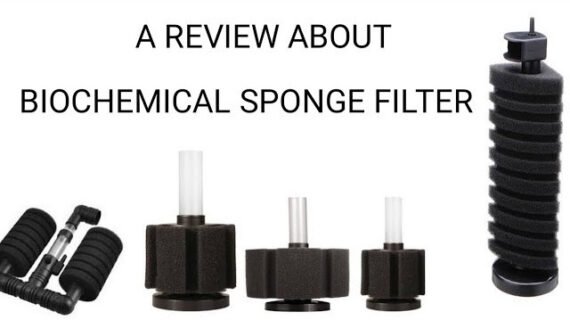 A review about biochemical sponge filter