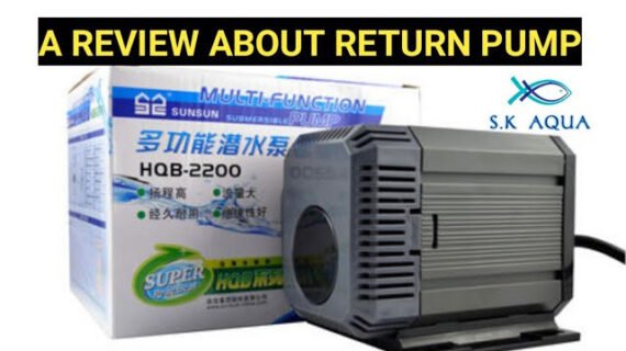 A review about marine aquarium return pump