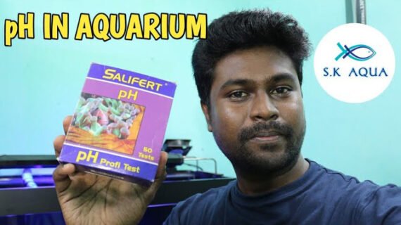 All About pH VALUE How to check and control your aquarium water