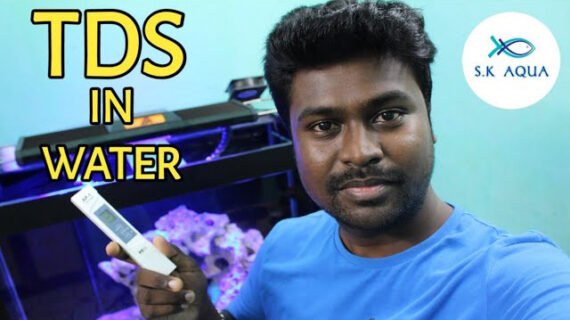 Aquarium TDS leaves and how to use the TDS meter