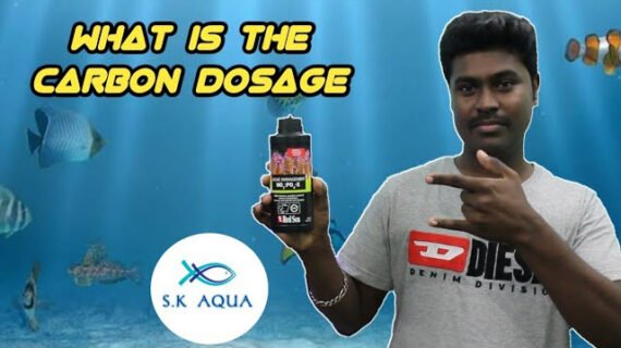 Explanation about carbon dosage