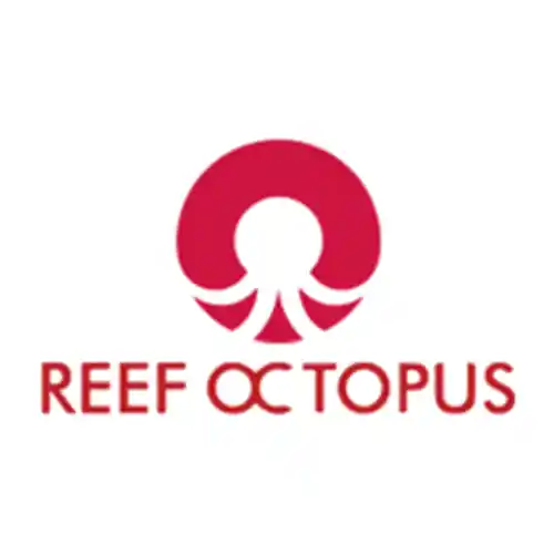 Reef Octopus