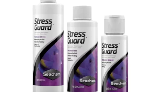 Seachem Stress Guard