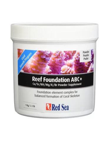 Red Sea Reef Foundation ABC+