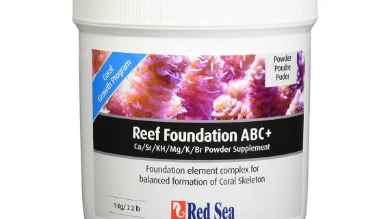 Red Sea Reef Foundation ABC+