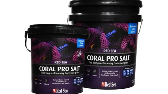 Red Sea Coral Pro Salt
