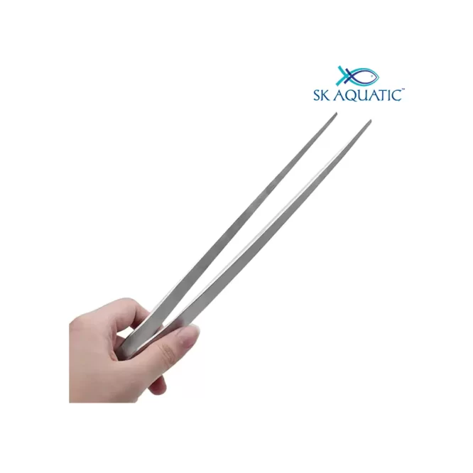 Stainless Steel Plant Tweezer Straight 4