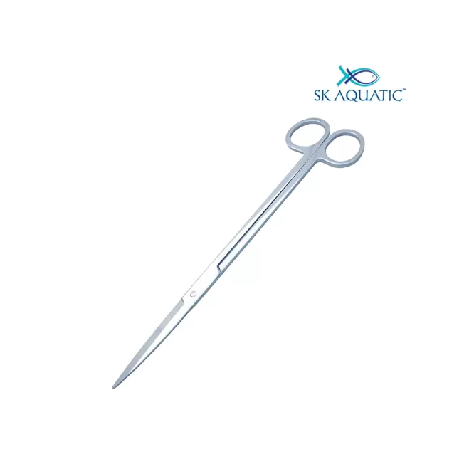 Stainless Steel Plant scissor Straight 25cm 2