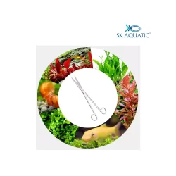 Stainless Steel Plant scissor Straight 25cm - Image 4