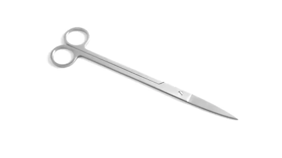 Stainless Steel Plant scissor Straight 25cm