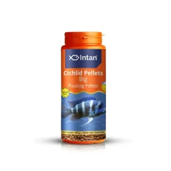 Intan Cichlid Pellets Big 165g 1