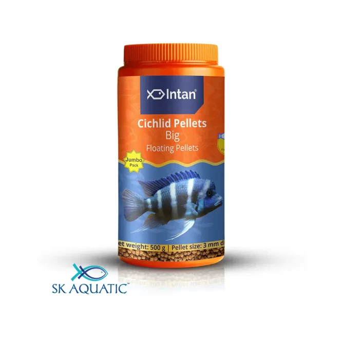 Intan Cichlid Pellets (Big)