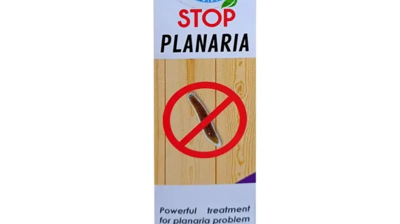 Aquatic Remedies Stop Planaria 60ml Quantity