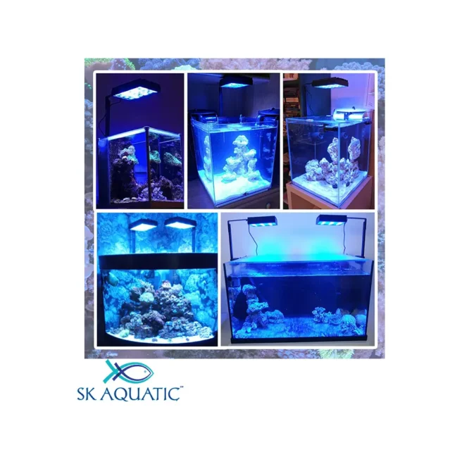 Micmol Thor Nano Marine Aquarium Light - Image 6