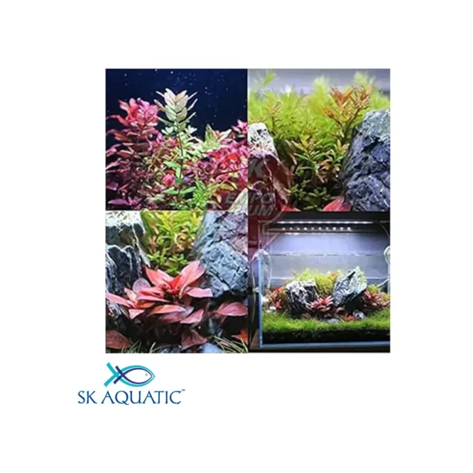 Neo Helios Flat xp 1200 LED Planted Aquarium Light