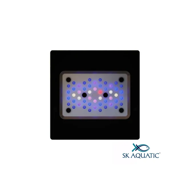 Radion XR15 G6 Blue LED Light Fixture