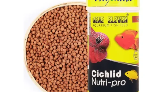 Aquatic Remedies Gene Eleven Cichild Nutri Pro, 100G
