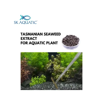 Aquatic Remedies R2O Eco Root Sticks, 50G - Image 2