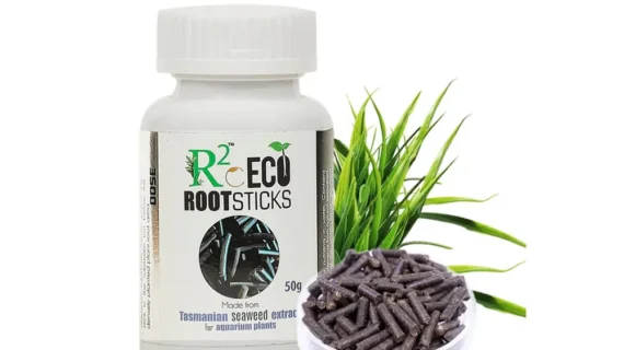 Aquatic Remedies R2O Eco Root Sticks, 50G Tasmanian Seaweed Extract for Aquarium Plants